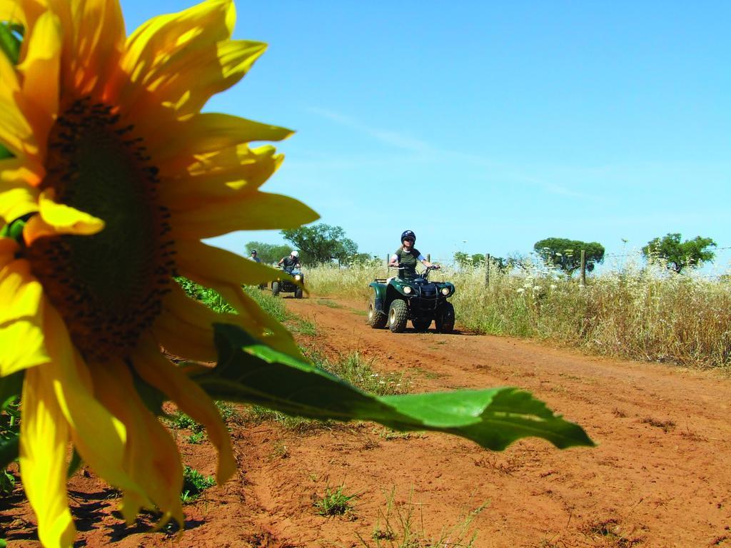Vila Gale Alentejo Vineyard - Clube De Campo Albernoa Zewnętrze zdjęcie
