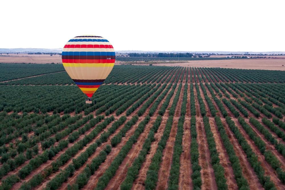 Hotel Vila Gale Alentejo Vineyard - Clube De Campo Albernoa Zewnętrze zdjęcie