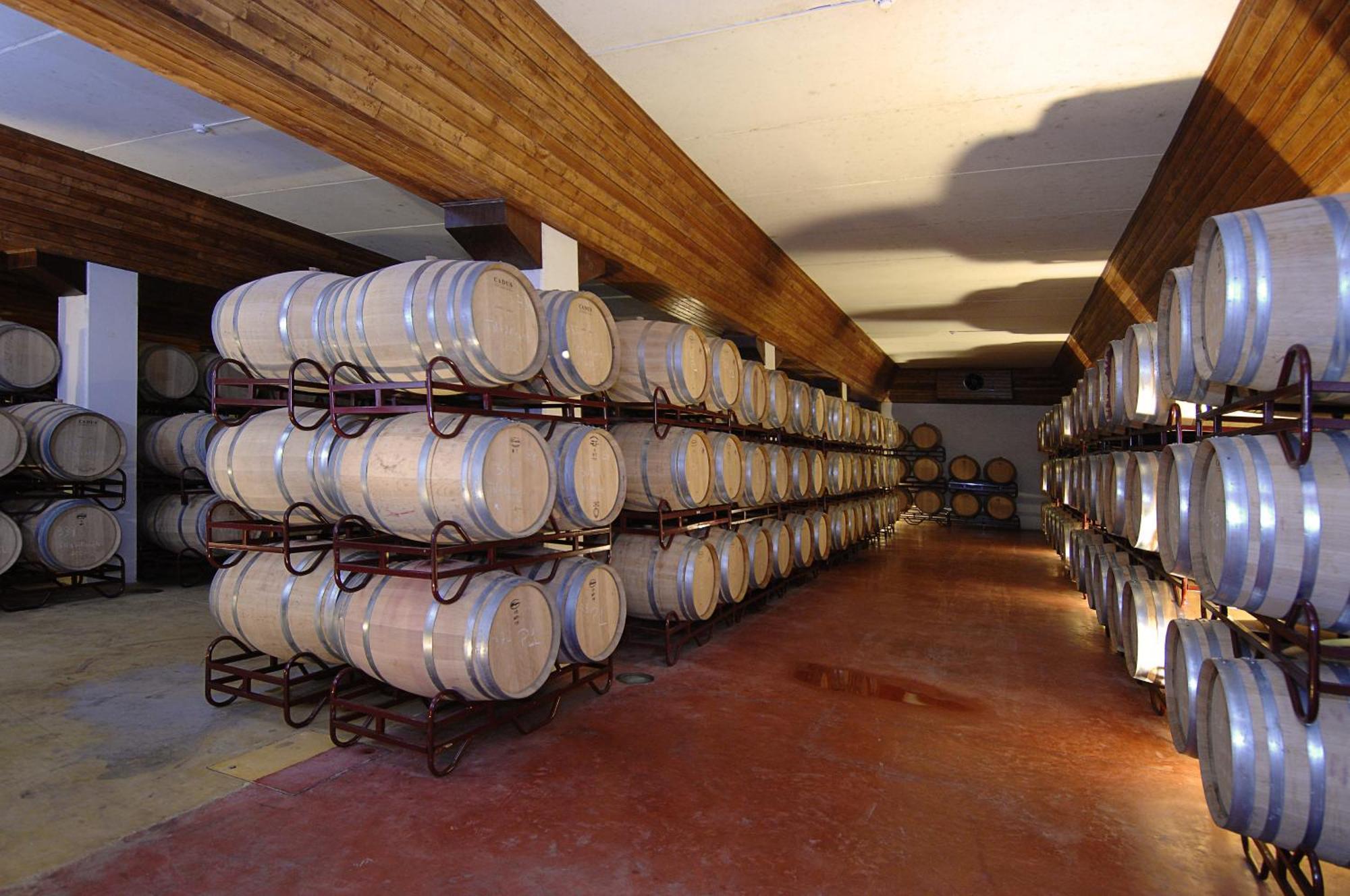 Vila Gale Alentejo Vineyard - Clube De Campo Albernoa Zewnętrze zdjęcie
