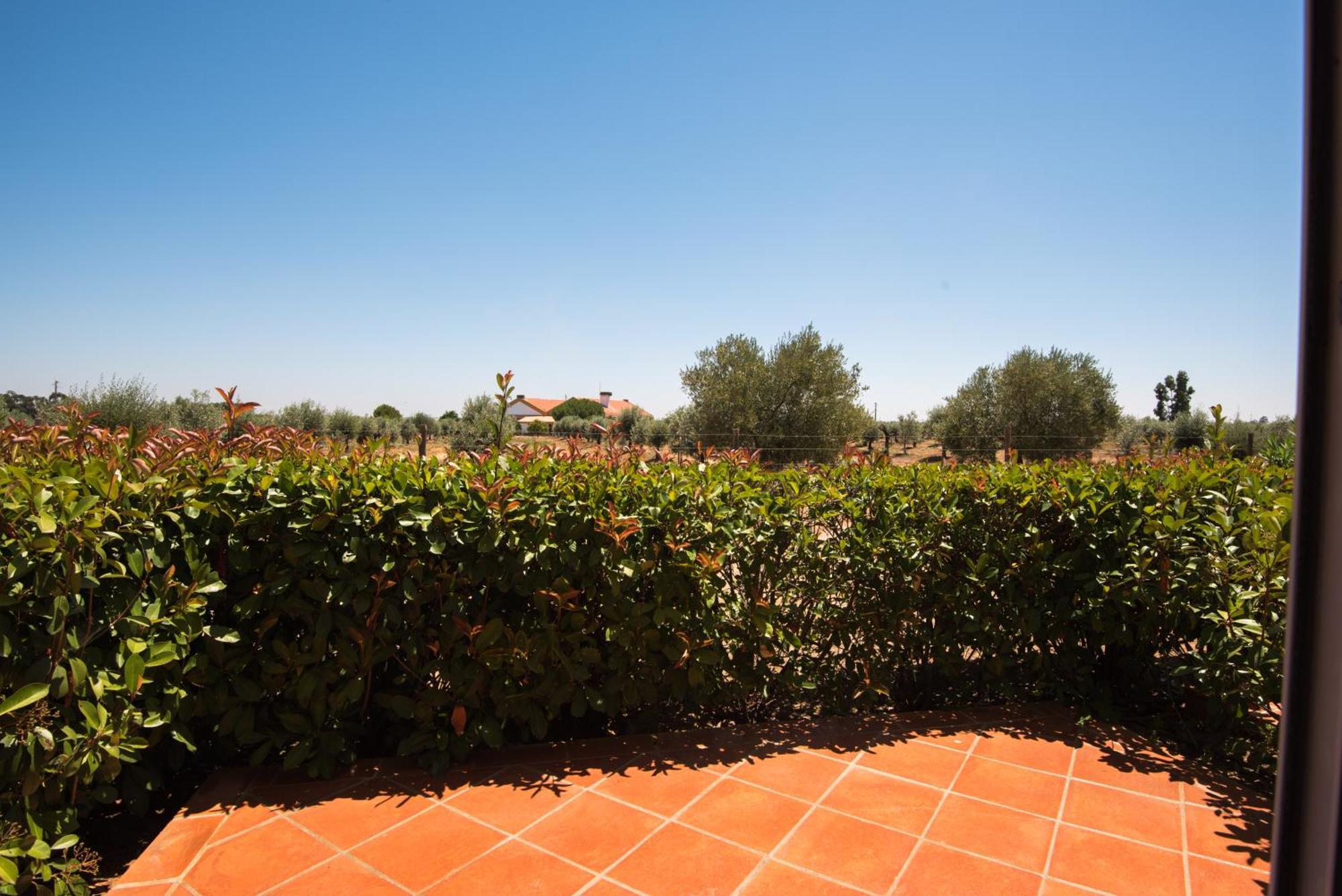 Vila Gale Alentejo Vineyard - Clube De Campo Albernoa Zewnętrze zdjęcie