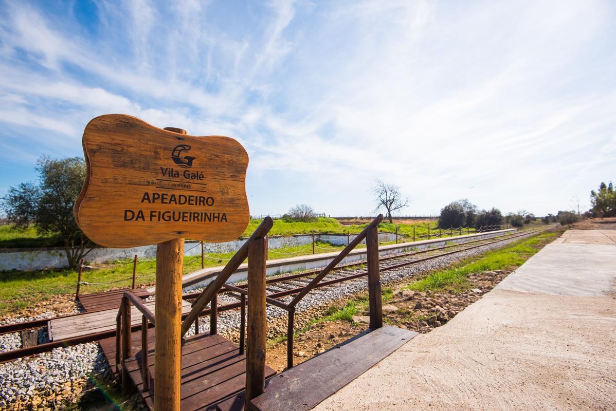 Vila Gale Alentejo Vineyard - Clube De Campo Albernoa Zewnętrze zdjęcie