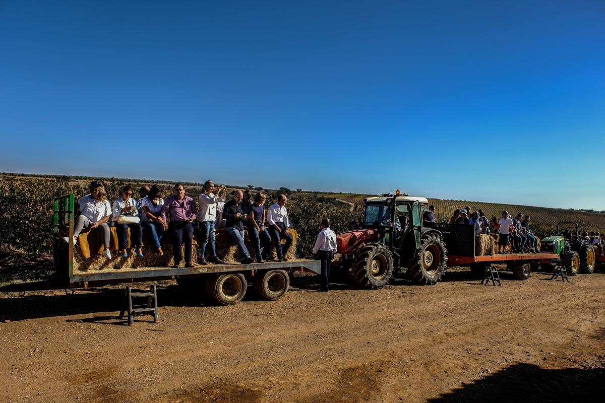 Vila Gale Alentejo Vineyard - Clube De Campo Albernoa Zewnętrze zdjęcie