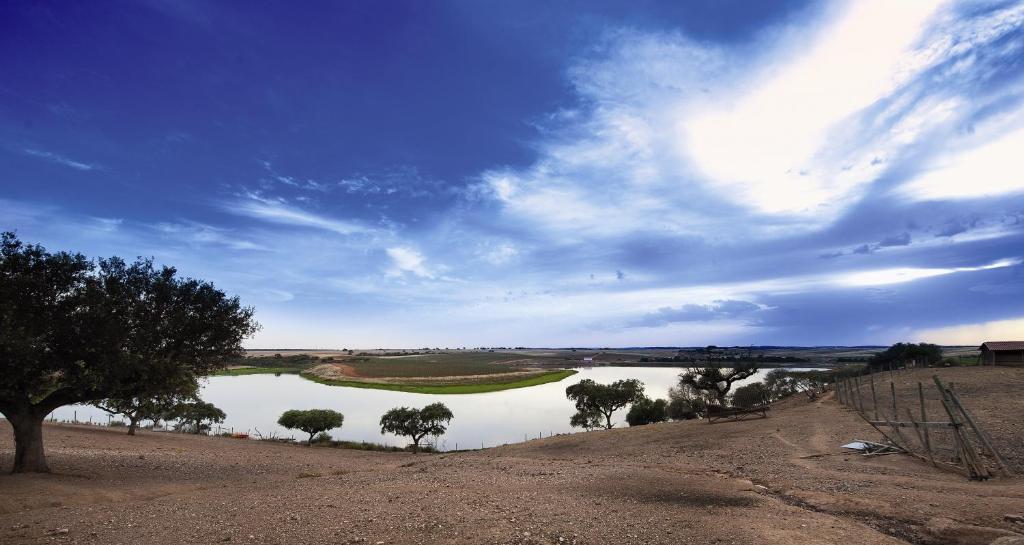 Vila Gale Alentejo Vineyard - Clube De Campo Albernoa Zewnętrze zdjęcie