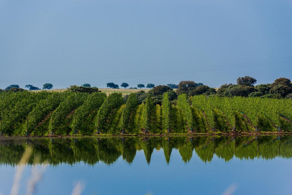 Vila Gale Alentejo Vineyard - Clube De Campo Albernoa Zewnętrze zdjęcie