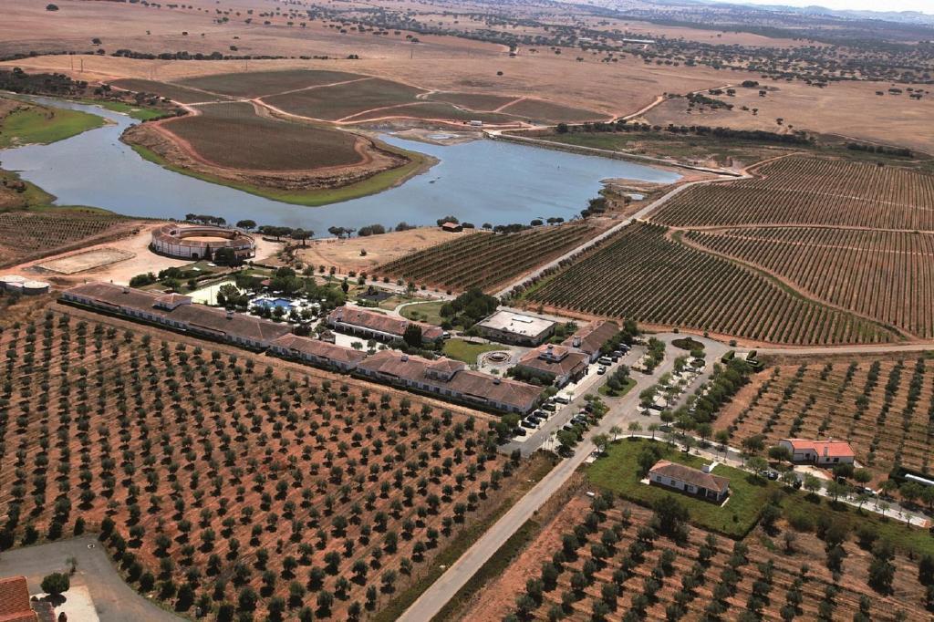 Hotel Vila Gale Alentejo Vineyard - Clube De Campo Albernoa Zewnętrze zdjęcie